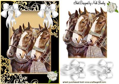 White Bows, White Rose and Horses