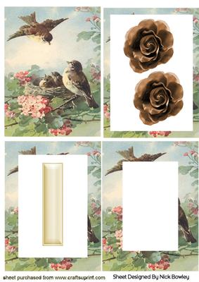 Spring is Here! Birds Nesting Tunnel Pyramid