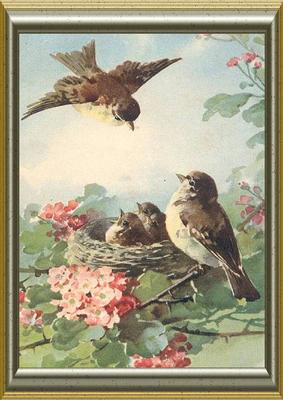 Spring is Here! Birds in a Nest in Frame A4