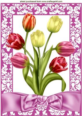 Pretty Shades of Tulips in Floral Frame A4