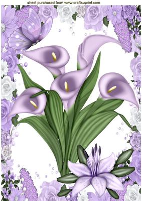Lavender Lilies with Butterflies A4