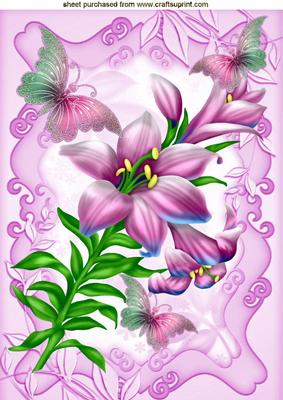Pretty Pink Lilies with Butterflies A4
