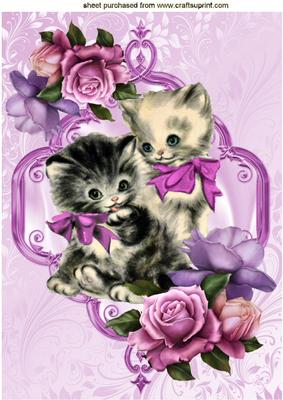 Vintage Kittens with Pink Roses in Frame A4