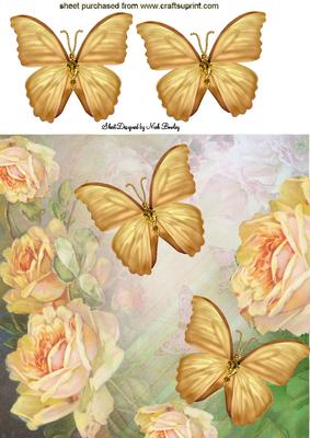 Peach Roses with Gold Butterflies 8x8