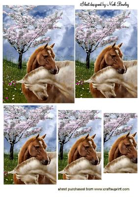 Horses Heads Entwined in the Meadow Pyramids