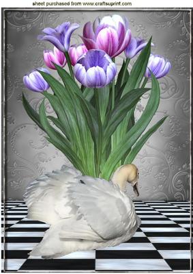 White Swan with Pink/purple Tulips Fantasy A4
