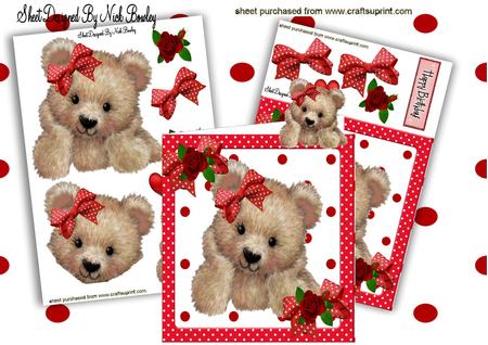 Fuzzy Bear in Red Gingham Frame with Roses 8x8 Mini Kit
