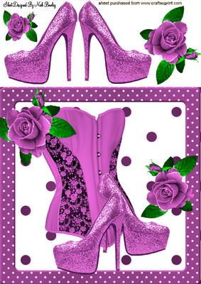 Pretty Pink Basque with Shoes & Roses 8x8