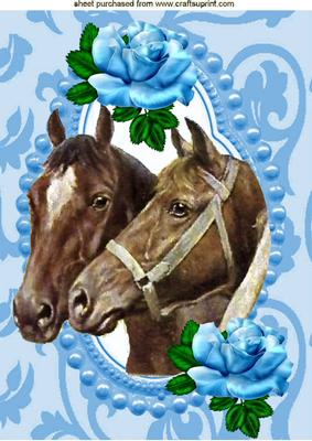Horses with Blue Roses in Ornate Frame A4