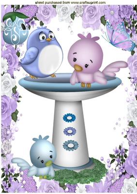 Room for One More! Cute Little Birds A4