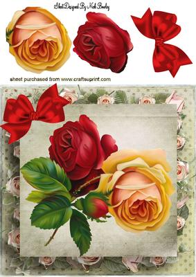 Red and Yellow Roses with Bow 8x8