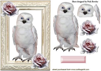 White Owl with Pink Roses in Ornate Frame