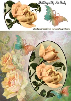 Peach Roses with Butterflies 8x8