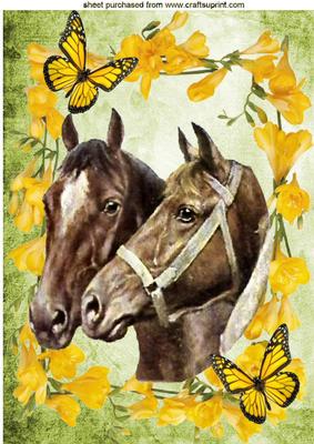 Horses with Daffodils & Butterflies A4