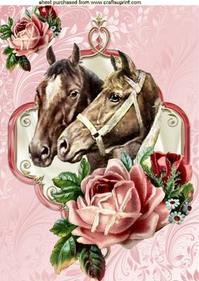 Vintage Horses with Pink Roses in Ornate Frame A4