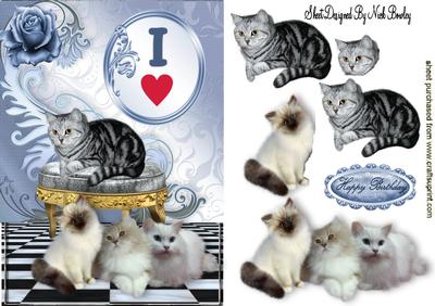 I Just Love Fur Babies, Lovely Cats & Kittens
