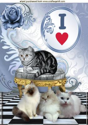 I Love Fur Babies, Cute Cats & Kittens A4