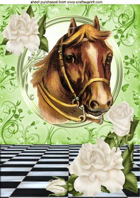 Vintage Horse with White Roses A4