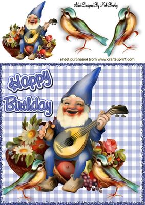 Jolly Gnome with Little Birds & Flowers 8x8
