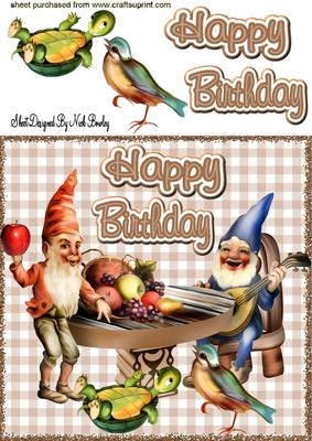 Gnomes Having Fun, with Cute Turtle & Bird 8x8