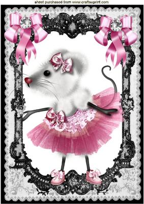 Cute Fantasy Ballerina Mouse in Lace Frame A4