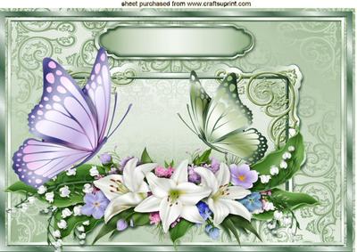 Flowers and Butterflies in Ornate Frame A4