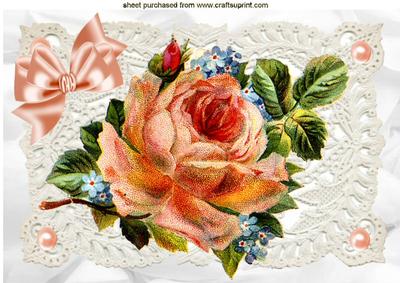Vintage Peach Rose with Pearls on Ecru Lace A4