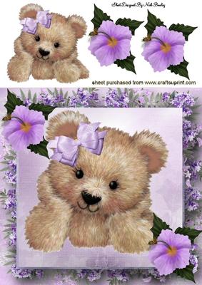 Fuzzy Bear in Flower Frame 8x8