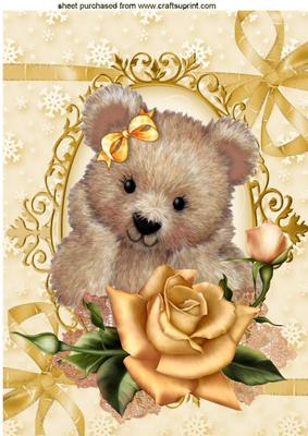 Fuzzy Bear with Pretty Gold Roses on Lace A4