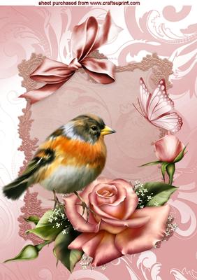 Pretty Bird on Edwardian Roses A4