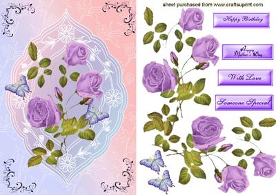 Beautiful Lilac/purple Roses in Pretty Rainbow Frame Lovely for Mother's Day