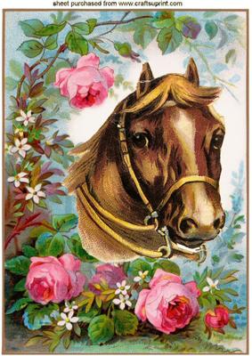 Horse Among the Roses A4