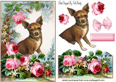 Cute Little Chihuahua with Roses in the Garden