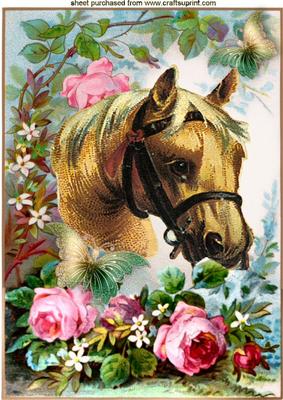 Horse with Butterflies and Roses A4