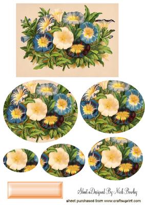 Pretty Blue /cream Morning Glory Oval Pyramids