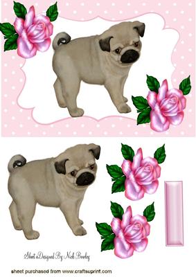 Gorgeous! Cuddly! Little Pug with Pink Roses