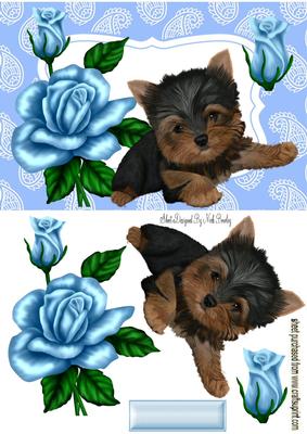 Little Yorkshire Terrier with Blue Roses