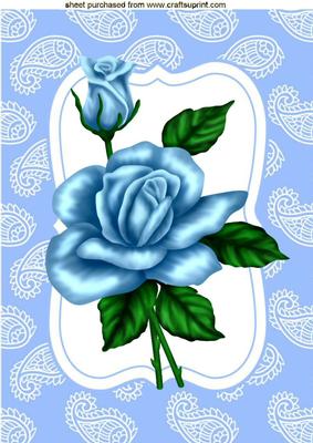 Blue Roses in Ornate Frame with Bow A4