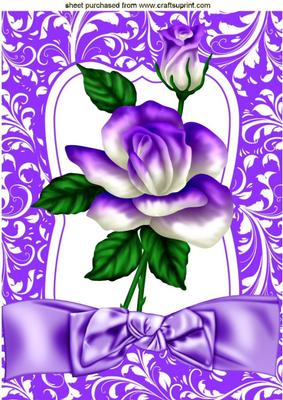 Pretty Purple Rainbow Rose with Bow A4