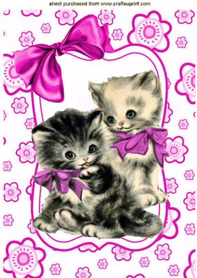 Vintage Kittens in Pink Floral Frame A4