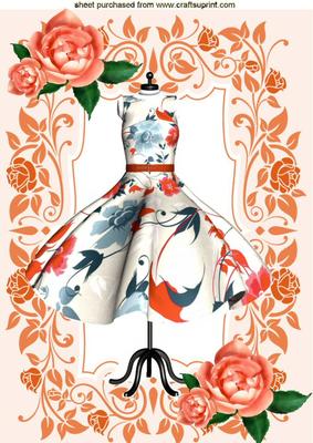 Pretty Orange Dress in Floral Frame, Roses A4