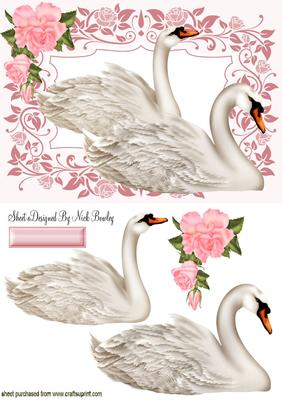 Beautiful White Swans in Floral Frame