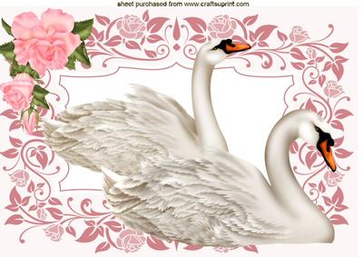 Beautiful White Swans in Floral Frame A4