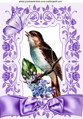 Vintage Bird in Floral Frame A4
