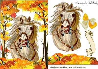 Beautiful White Horse in the Meadow