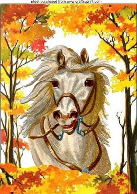 Beautiful White Horse in the Meadow A4