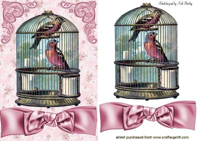 Pretty Birds in a Birdcage with Bow