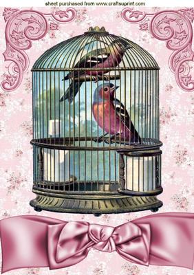 Pretty Birds in a Birdcage with Bow A4
