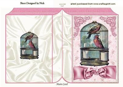 Pretty Birds in a Birdcage Folded Book