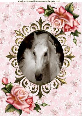 White Horse in Ornate Frame with Roses A4